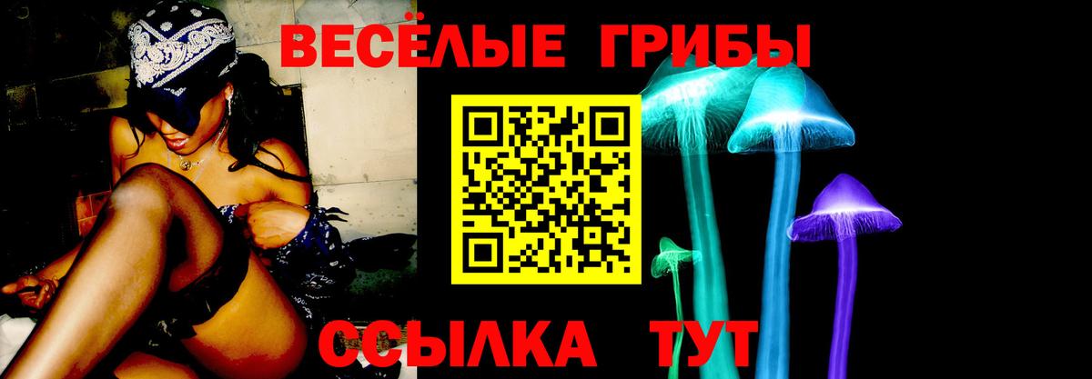 Карасук  Галлюциногенные грибы прущие грибы  Вход с VPN 